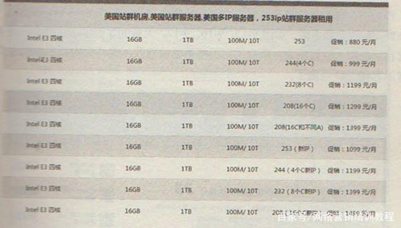 AI自动养站助手：新时代下的站点优化革命